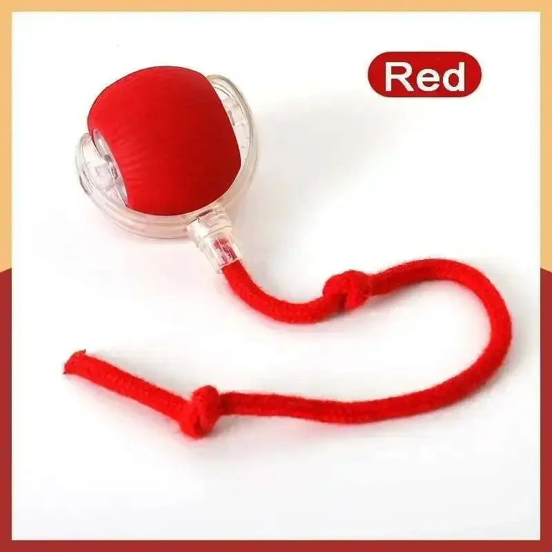 Smart Dog Toy Ball Electronic Interactive Pet Toy Ball USB Automatic Bouncing Rolling Toy Ball with RGB Lights Puppy Cat Product