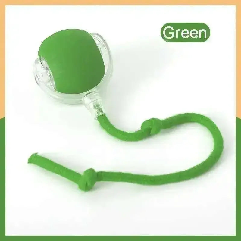 Smart Dog Toy Ball Electronic Interactive Pet Toy Ball USB Automatic Bouncing Rolling Toy Ball with RGB Lights Puppy Cat Product